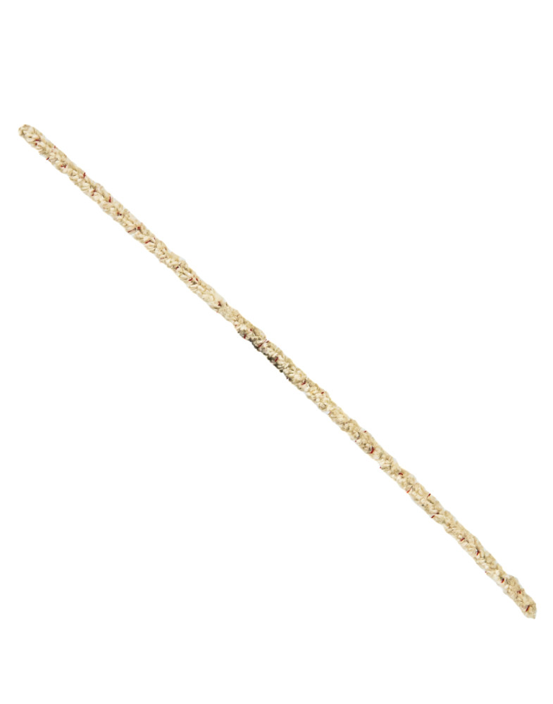 Набір Йоршиків - RAW